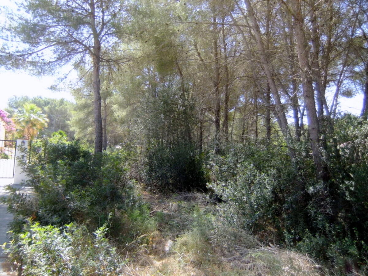 Plot for sale in Javea
