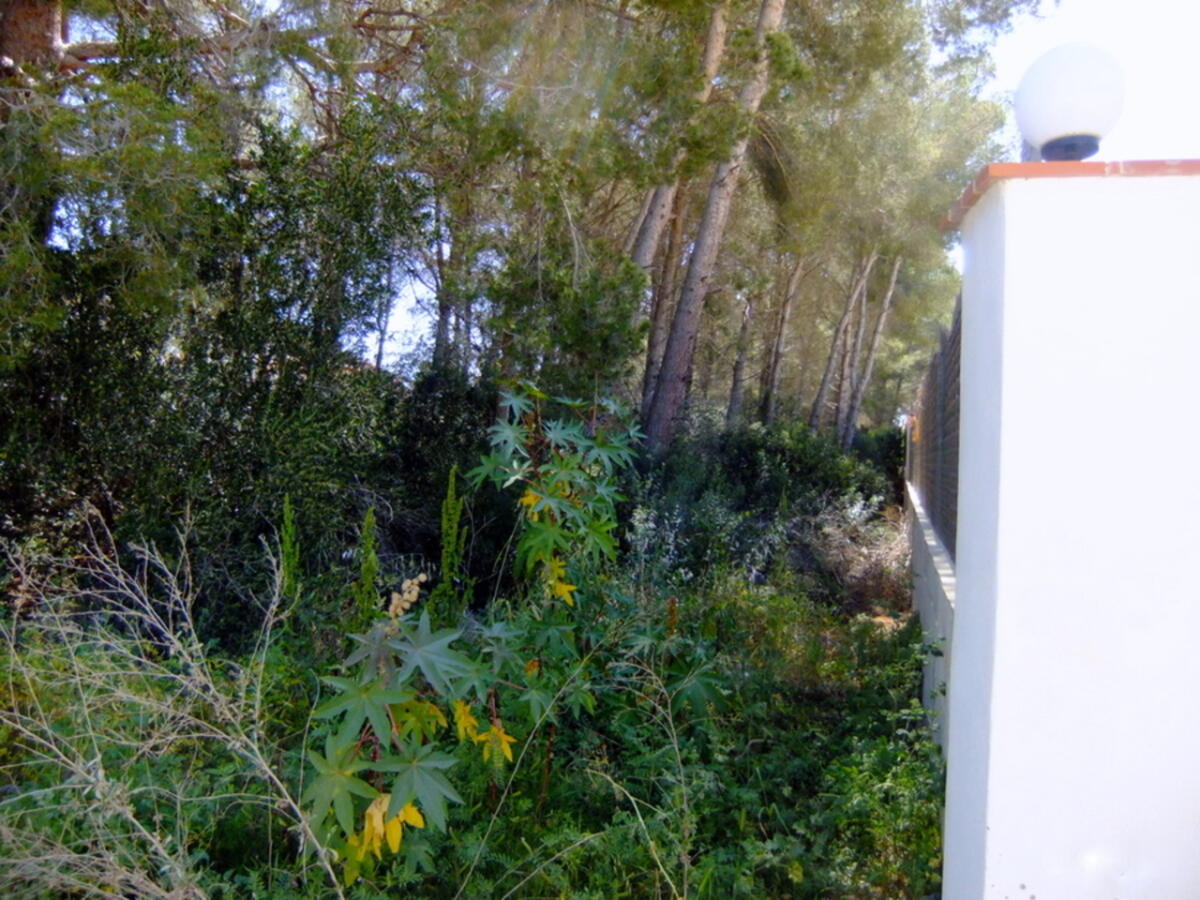 Plot for sale in Javea
