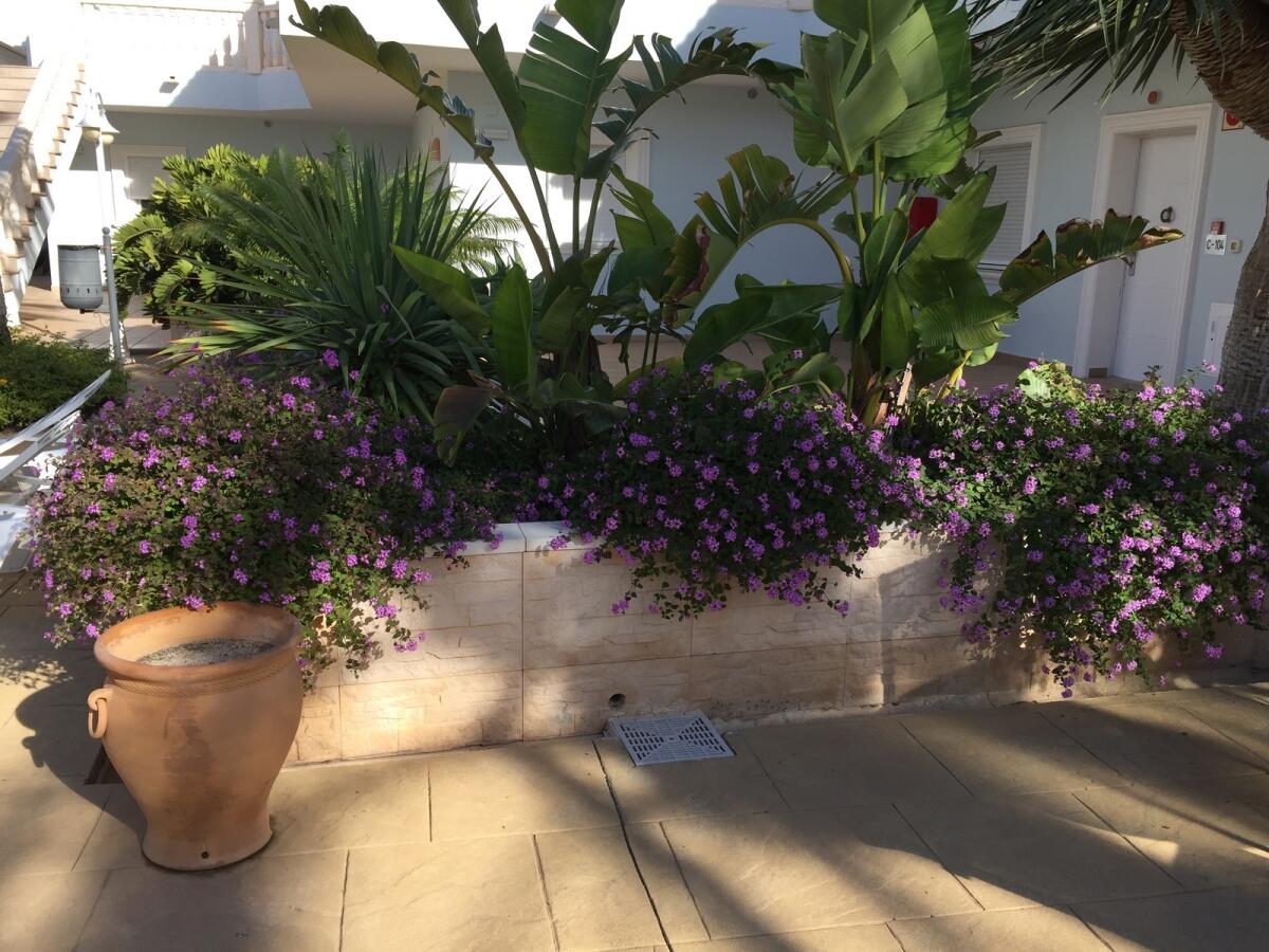 Apartment 1 Bedroom for sale in Benissa La Fustera