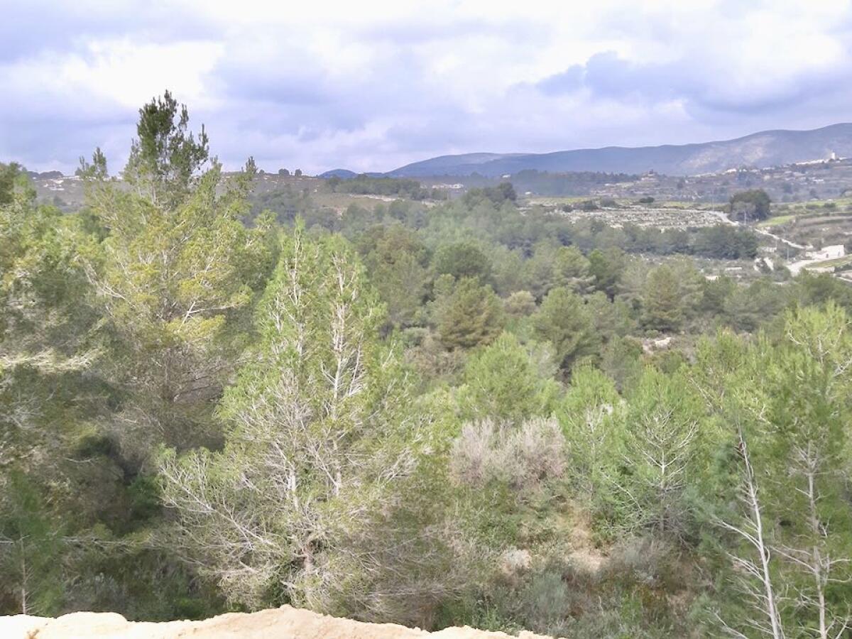 Plot for sale in Moraira Benimeit