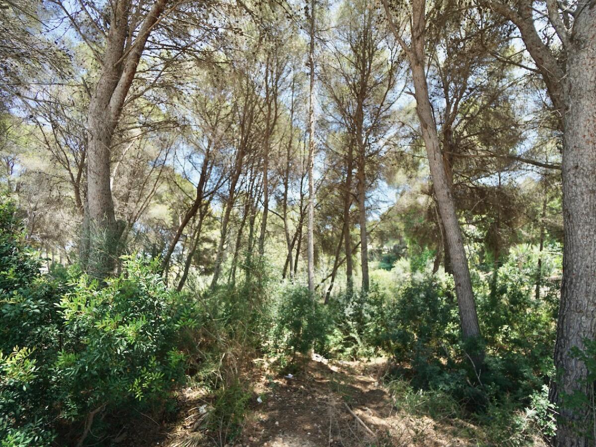 Plot for sale in Moraira La Cometa