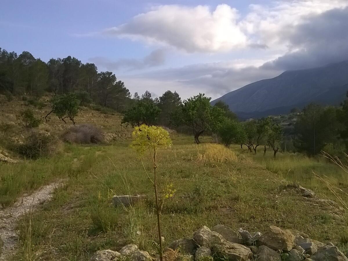 Plot for sale in Benissa