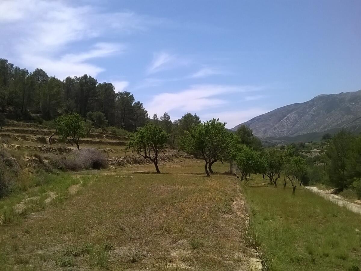 Plot for sale in Benissa