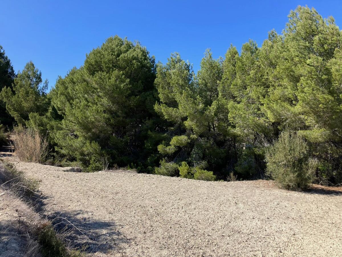 Plot for sale in Benissa
