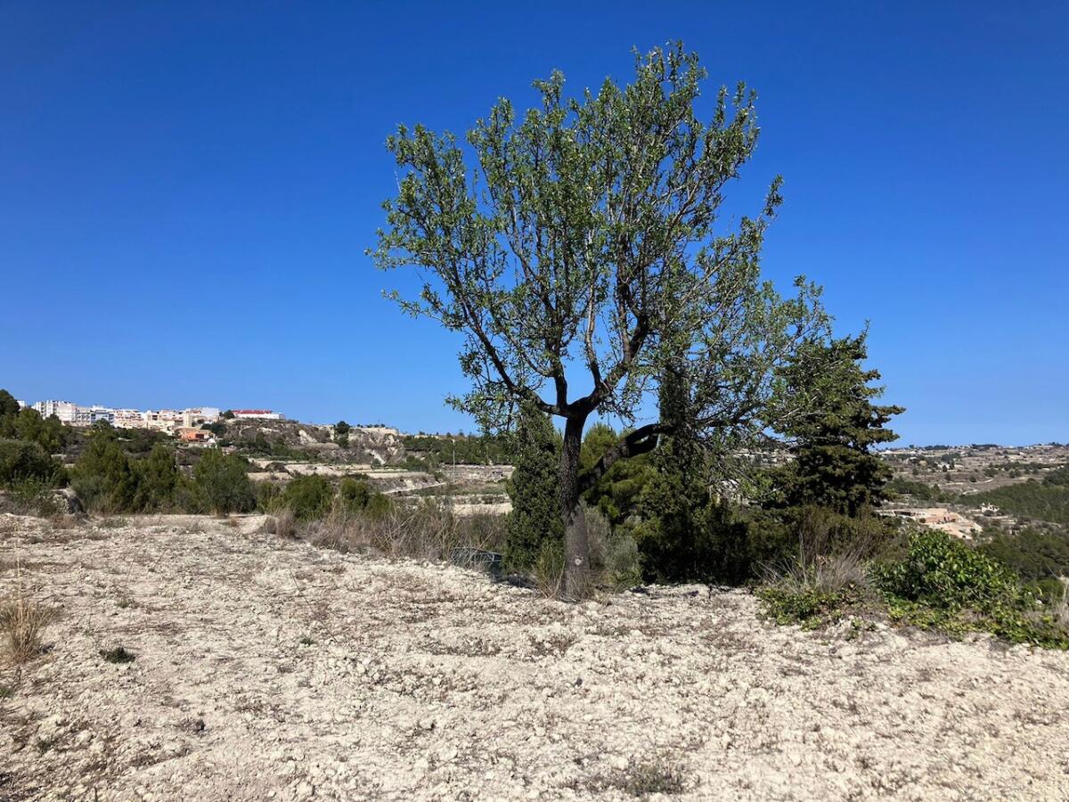Plot for sale in Benissa