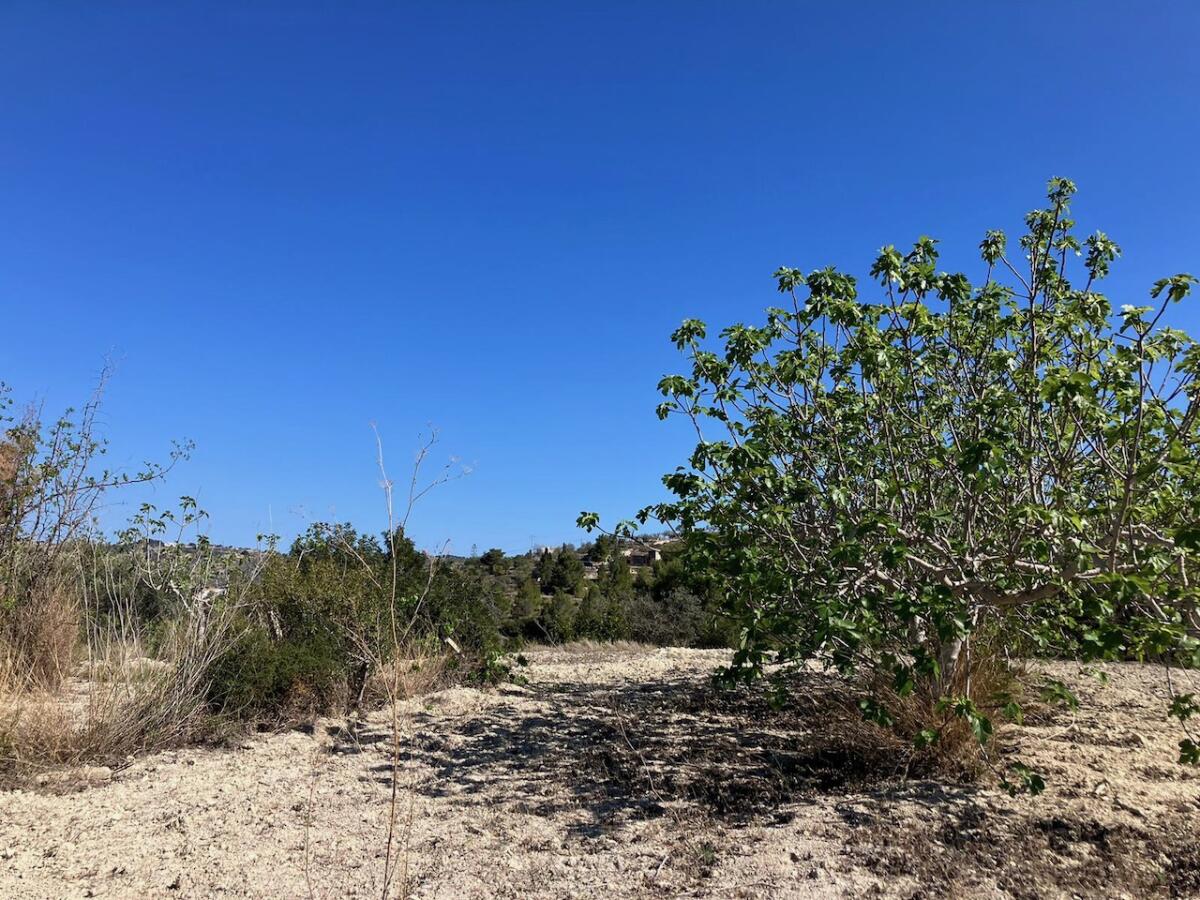 Plot for sale in Benissa